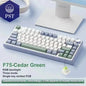 AULA F75 Gaming Tastatur - RGB, kabellos & kabelgebunden PST PS Tradings  Cedar Green / Gray Switch AULA F75 Gaming Tastatur - RGB, kabellos & kabelgebunden